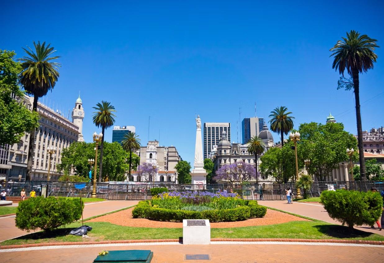 La place de Mai et ses palmiers, à Buenos Aires